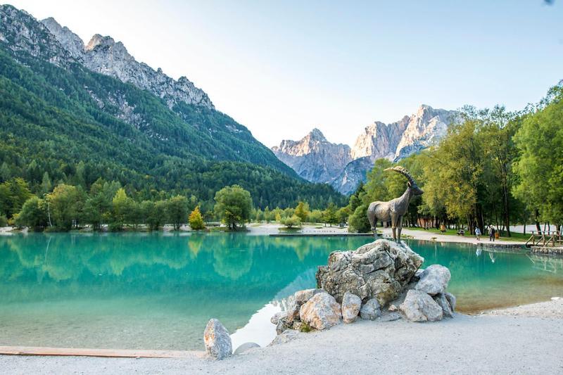 Bor In Bor Luxury Apartment With Sauna & Garden - Kranjska Gora Eksteriør bilde